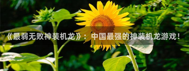 漫漫漫画在线观看免费阅读