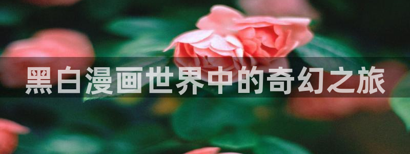 漫漫漫画tv版