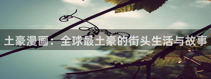 漫漫漫画下载免费